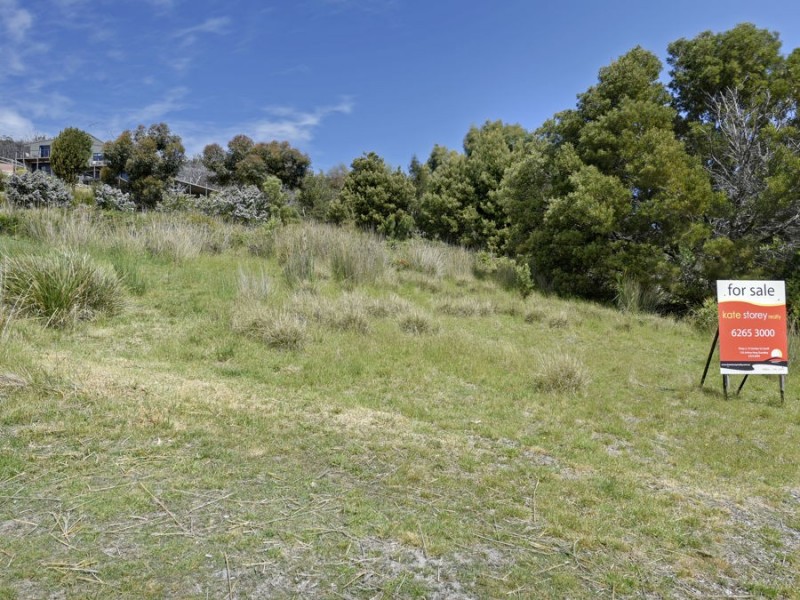 95 White Beach Road, White Beach TAS 7184