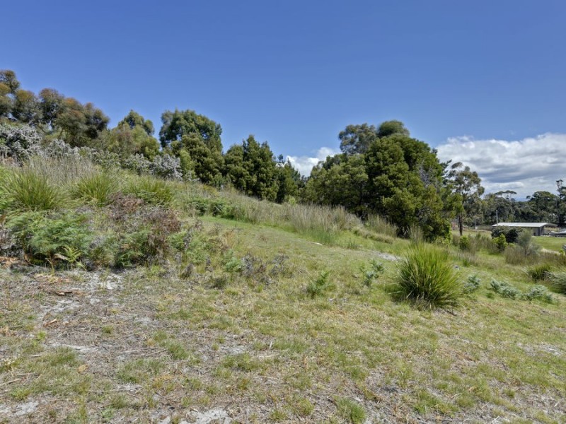 95 White Beach Road, White Beach TAS 7184