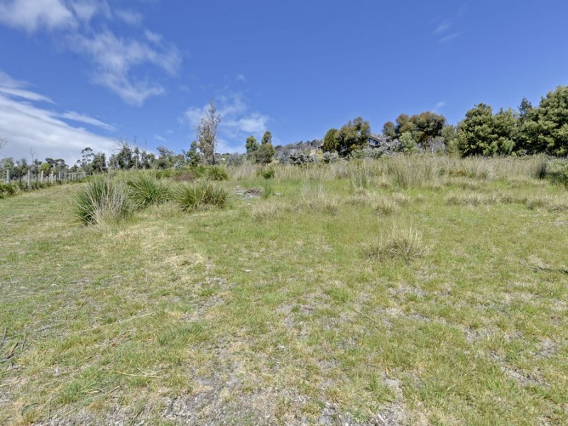 95 White Beach Road, White Beach TAS 7184