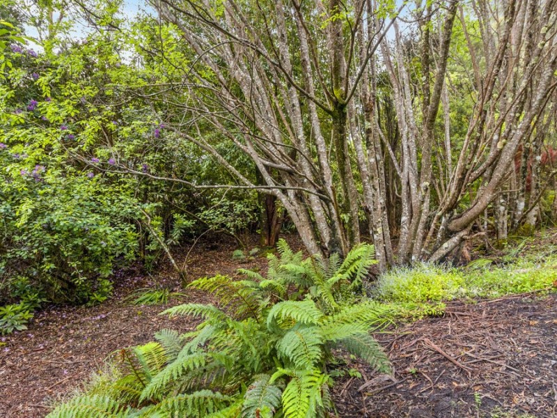 60 Old Jetty Road, Eaglehawk Neck TAS 7179