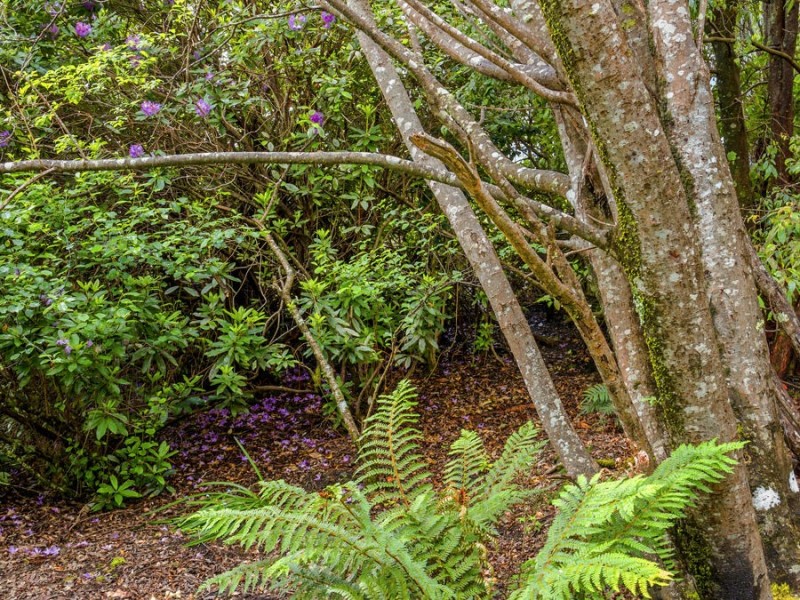 60 Old Jetty Road, Eaglehawk Neck TAS 7179