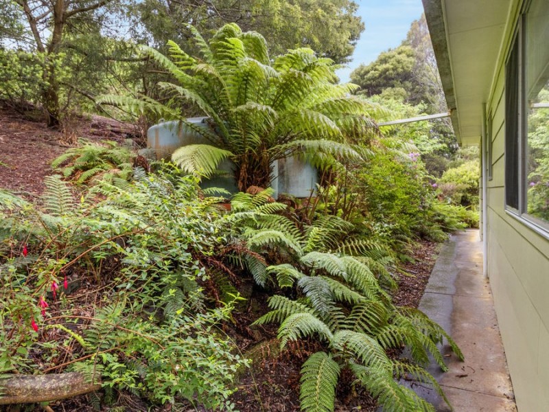 60 Old Jetty Road, Eaglehawk Neck TAS 7179