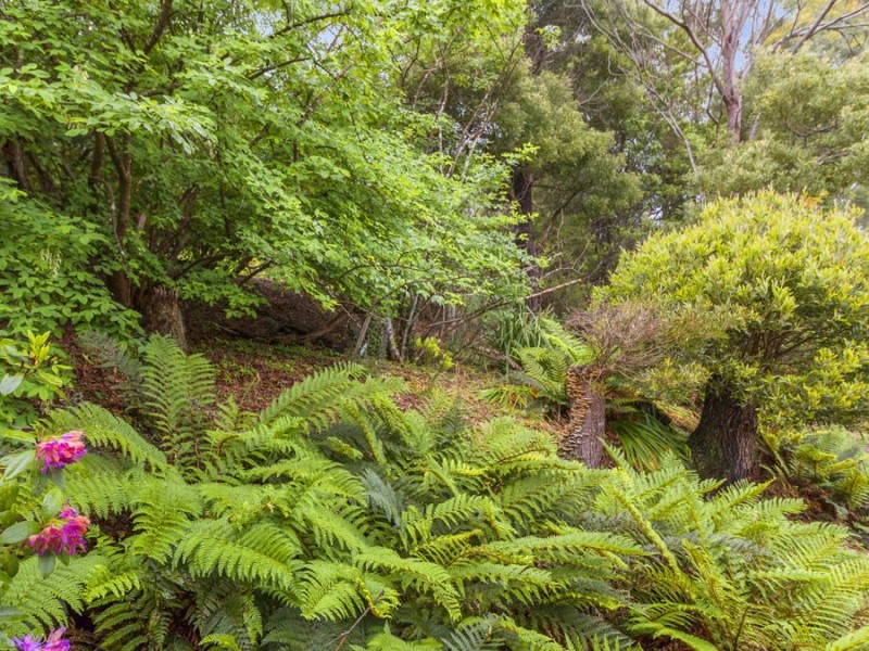 60 Old Jetty Road, Eaglehawk Neck TAS 7179