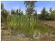 16 Pahi Rise, Murdunna TAS 7178