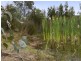 16 Pahi Rise, Murdunna TAS 7178