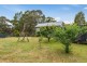 19 Moate Lane, White Beach TAS 7184