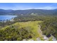 Lily Street, White Beach TAS 7184