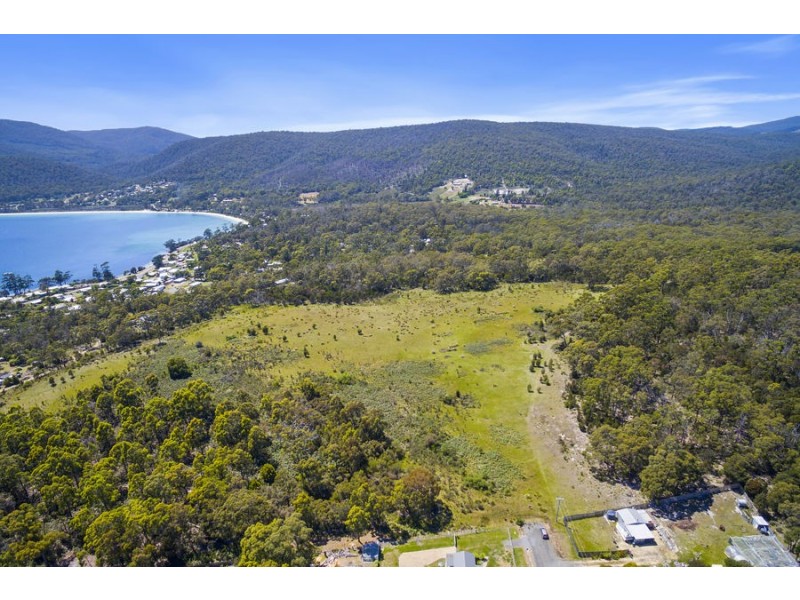 Lily Street, White Beach TAS 7184