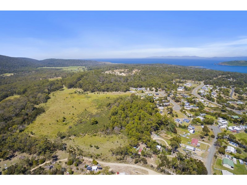Lily Street, White Beach TAS 7184