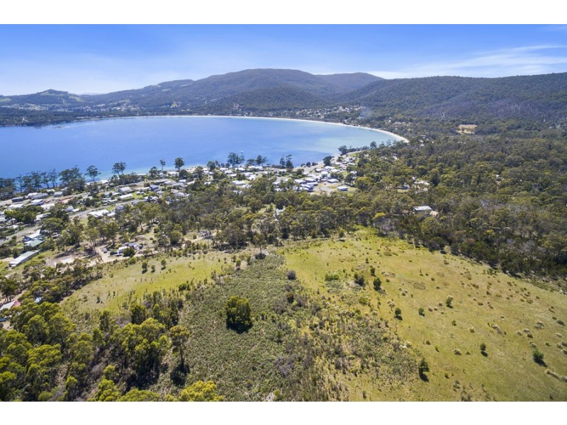 Lily Street, White Beach TAS 7184
