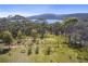 Lily Street, White Beach TAS 7184