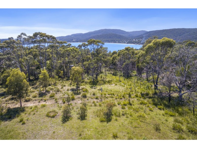 Lily Street, White Beach TAS 7184