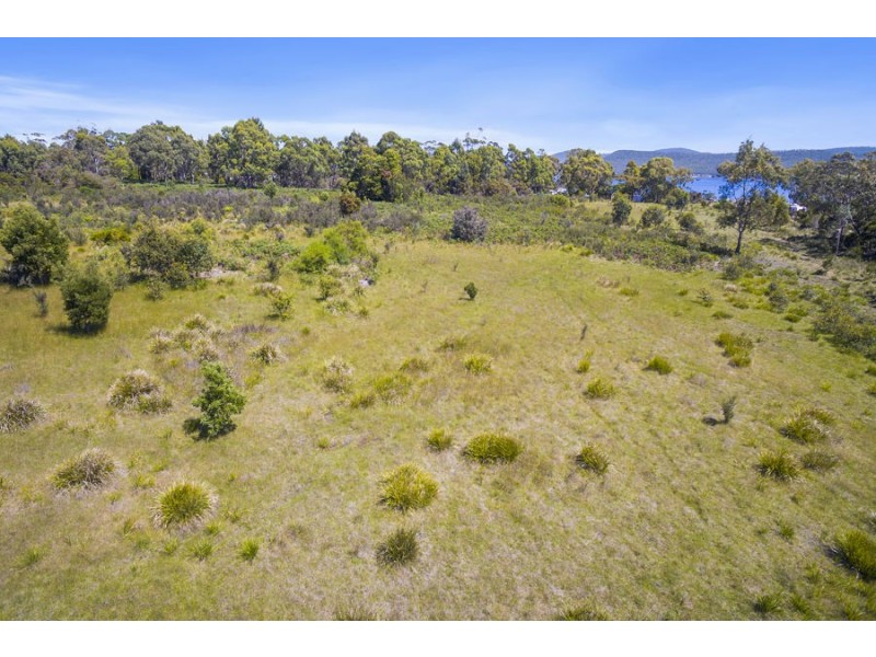 Lily Street, White Beach TAS 7184