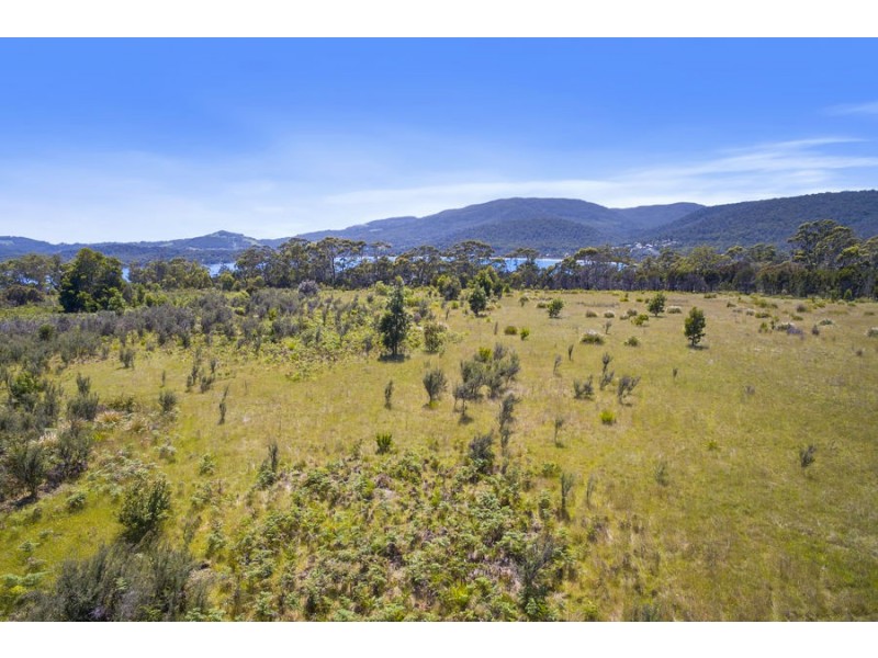 Lily Street, White Beach TAS 7184