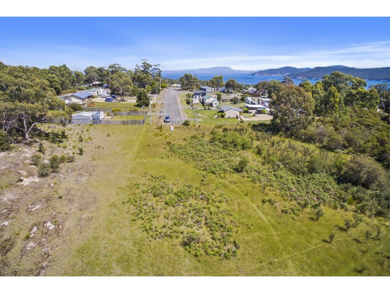 Lily Street, White Beach TAS 7184