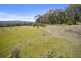 Lily Street, White Beach TAS 7184