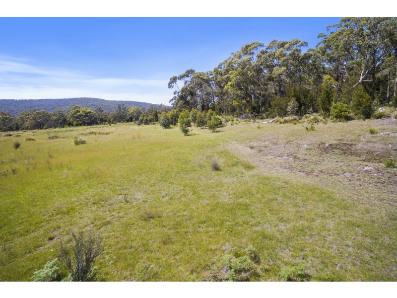 Lily Street, White Beach TAS 7184