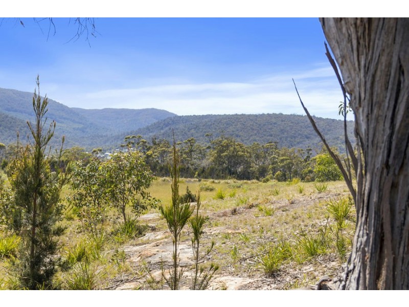 Lily Street, White Beach TAS 7184
