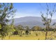 Lily Street, White Beach TAS 7184