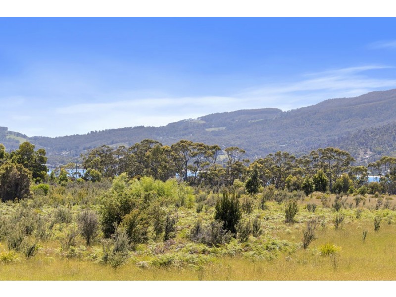 Lily Street, White Beach TAS 7184