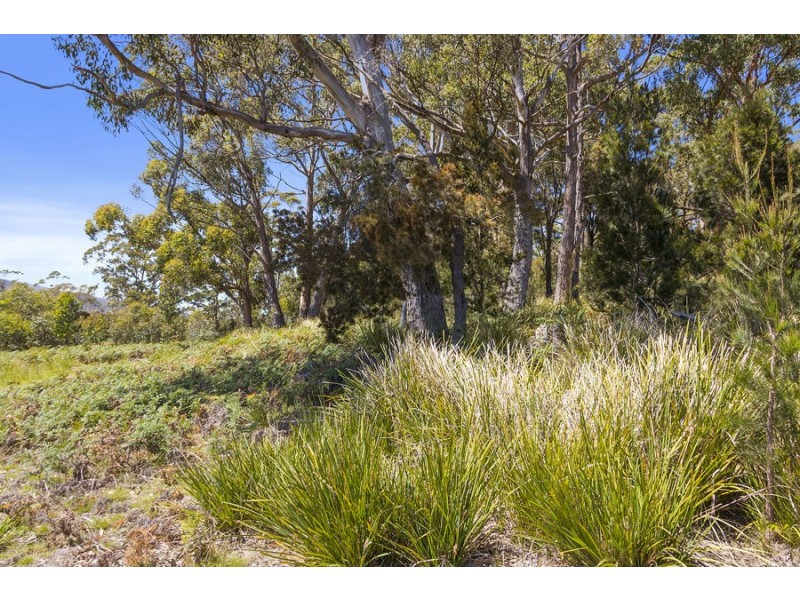 Lily Street, White Beach TAS 7184