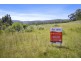 Lily Street, White Beach TAS 7184
