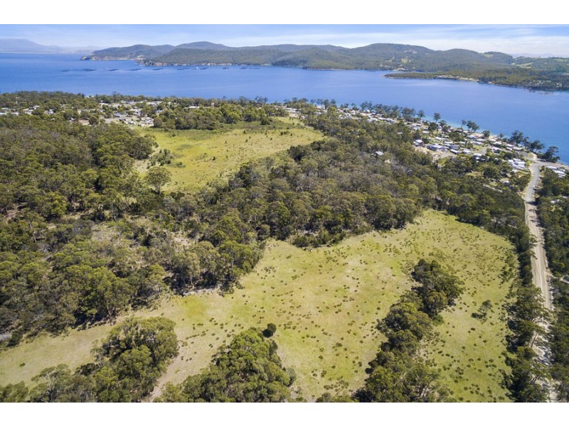 Lily Street, White Beach TAS 7184