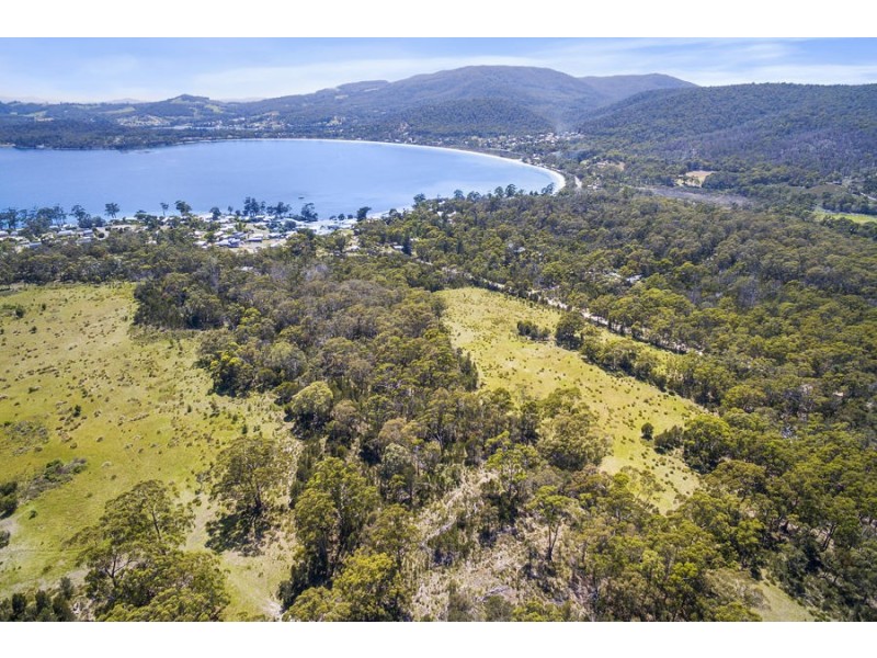 Lily Street, White Beach TAS 7184
