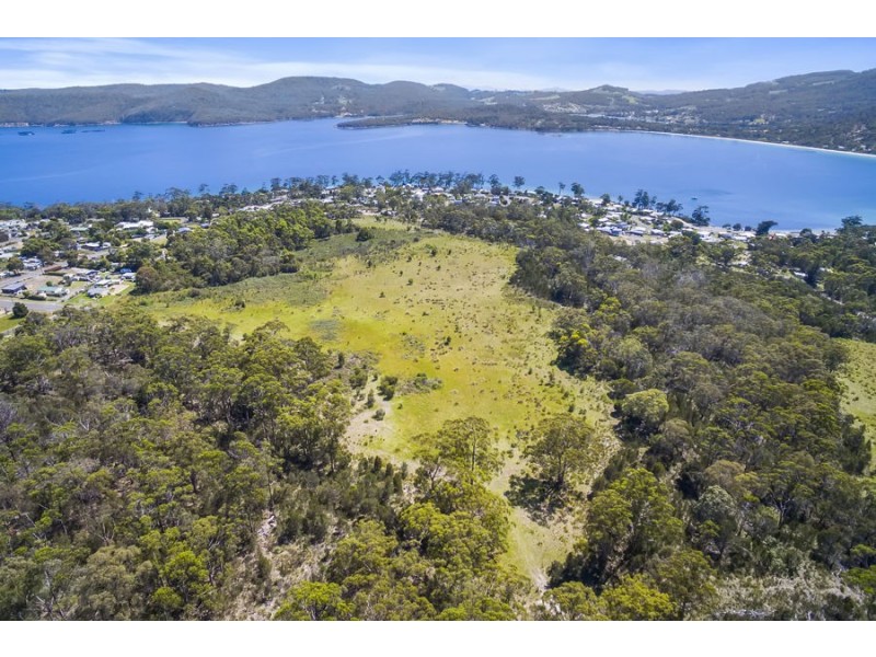 Lily Street, White Beach TAS 7184