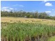 252 Kelletts Road, Sloping Main TAS 7186