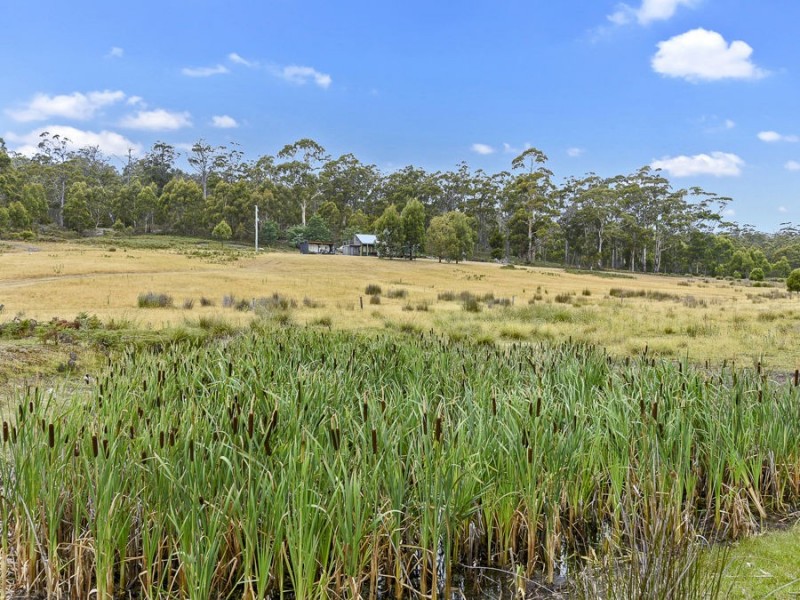 252 Kelletts Road, Sloping Main TAS 7186