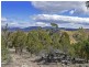 189 Link Road, Colebrook TAS 7027