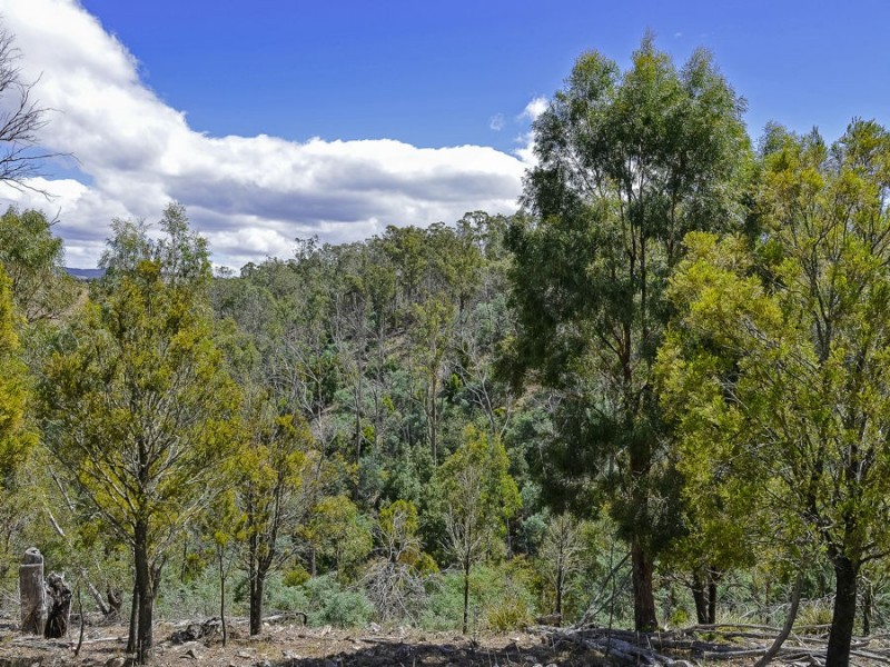 189 Link Road, Colebrook TAS 7027