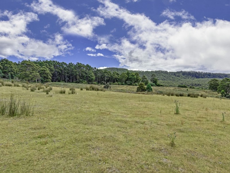 242 Lookout Road, Port Arthur TAS 7182