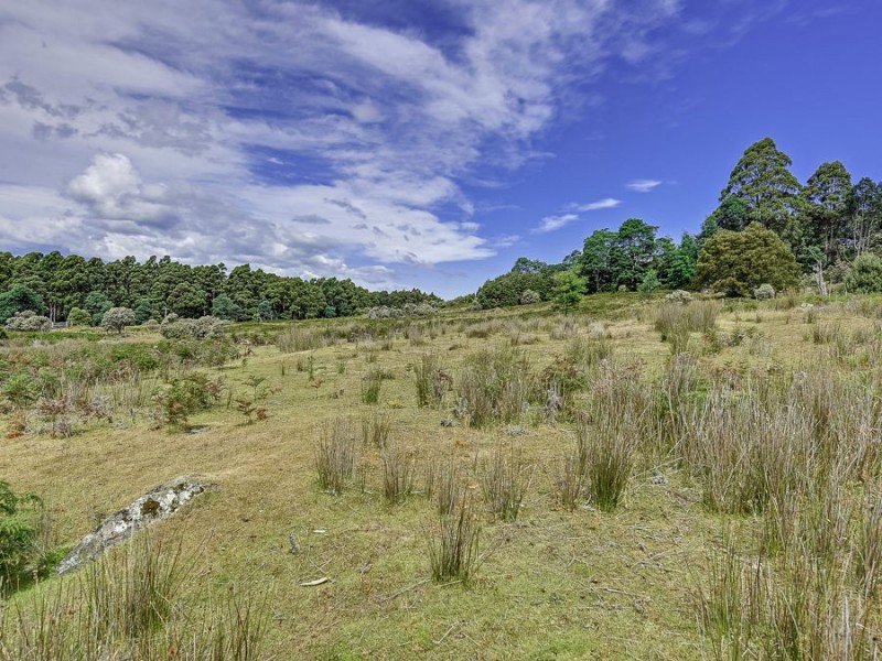 242 Lookout Road, Port Arthur TAS 7182
