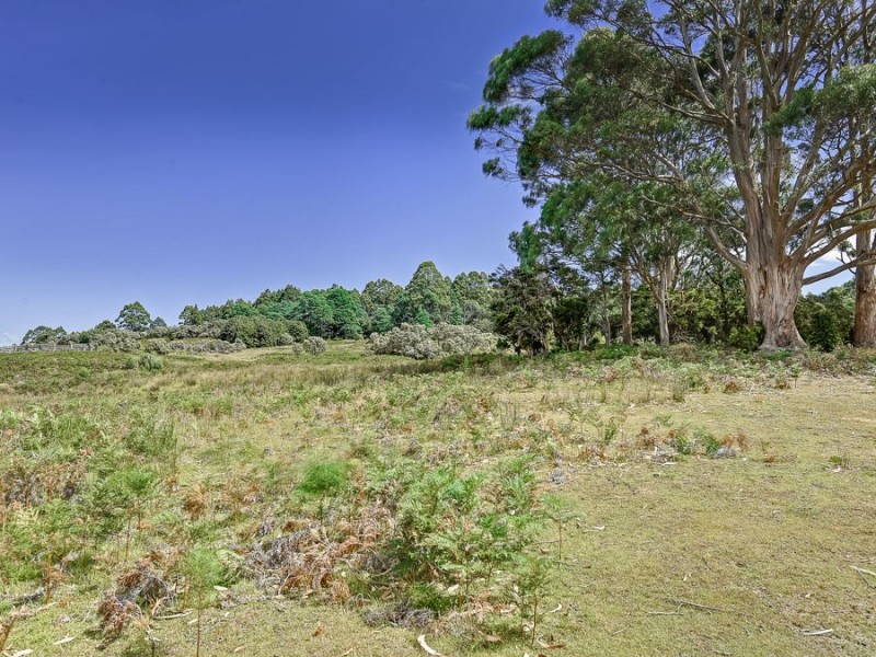 242 Lookout Road, Port Arthur TAS 7182