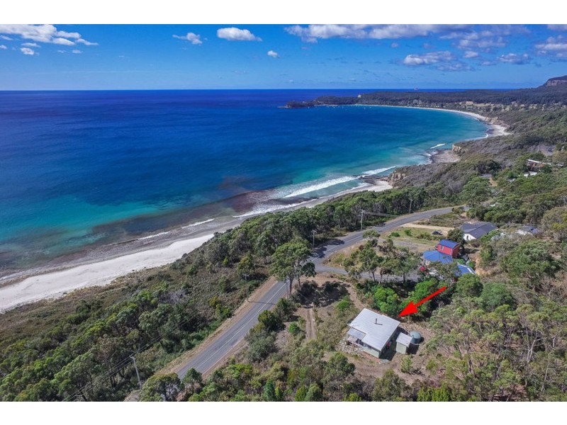66 Blowhole Road, Eaglehawk Neck TAS 7179