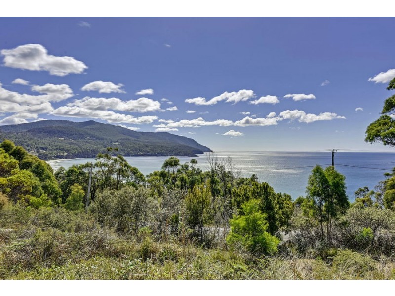 66 Blowhole Road, Eaglehawk Neck TAS 7179