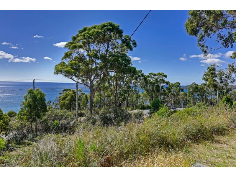 66 Blowhole Road, Eaglehawk Neck TAS 7179