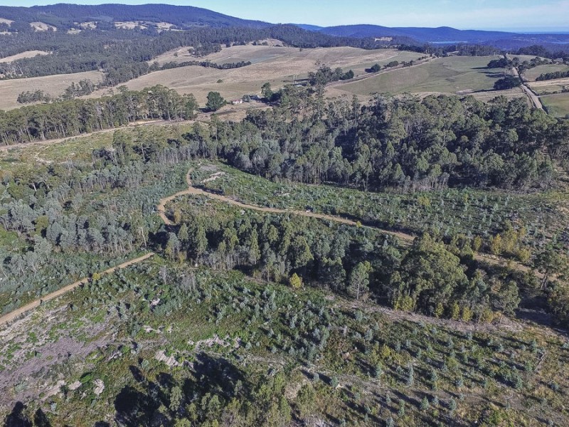 Lot 2 Nubeena Road, Premaydena TAS 7185