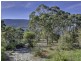 5529 Arthur Highway, Eaglehawk Neck TAS 7179