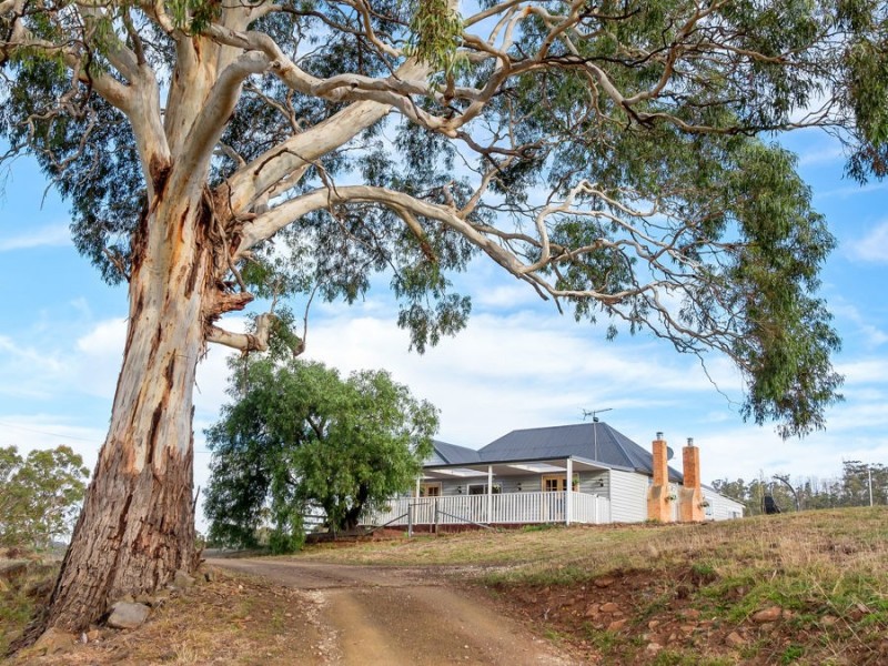 218 Wiggins Road, Wattle Hill TAS 7172