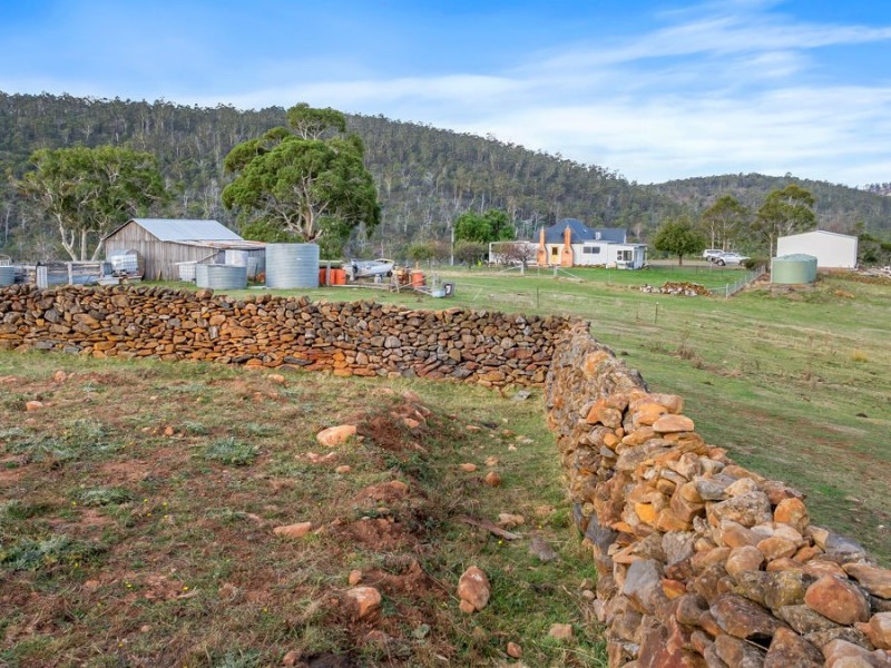 218 Wiggins Road, Wattle Hill TAS 7172