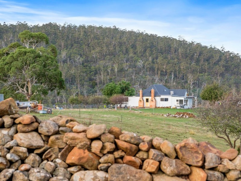 218 Wiggins Road, Wattle Hill TAS 7172