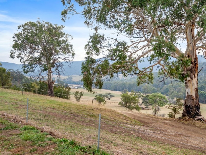 218 Wiggins Road, Wattle Hill TAS 7172