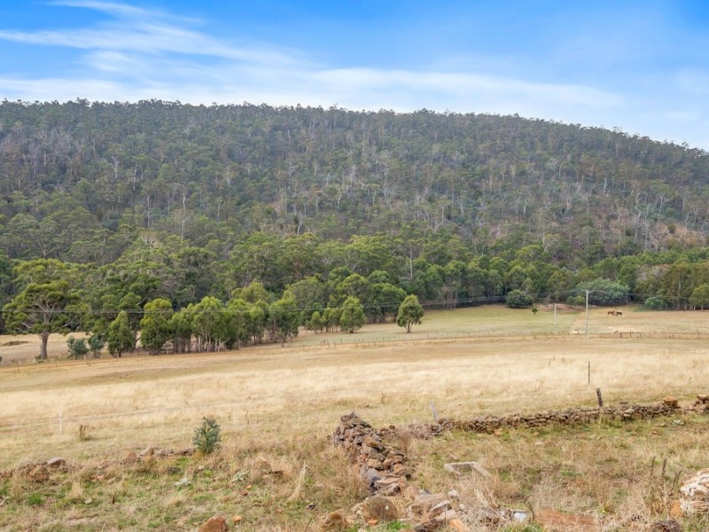 218 Wiggins Road, Wattle Hill TAS 7172