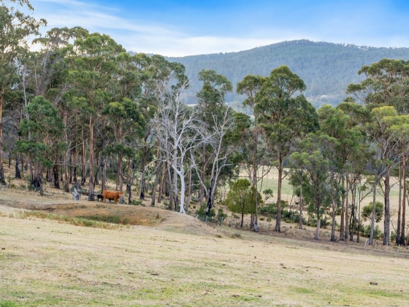218 Wiggins Road, Wattle Hill TAS 7172