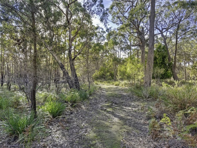 85 Skeggs Avenue, White Beach TAS 7184
