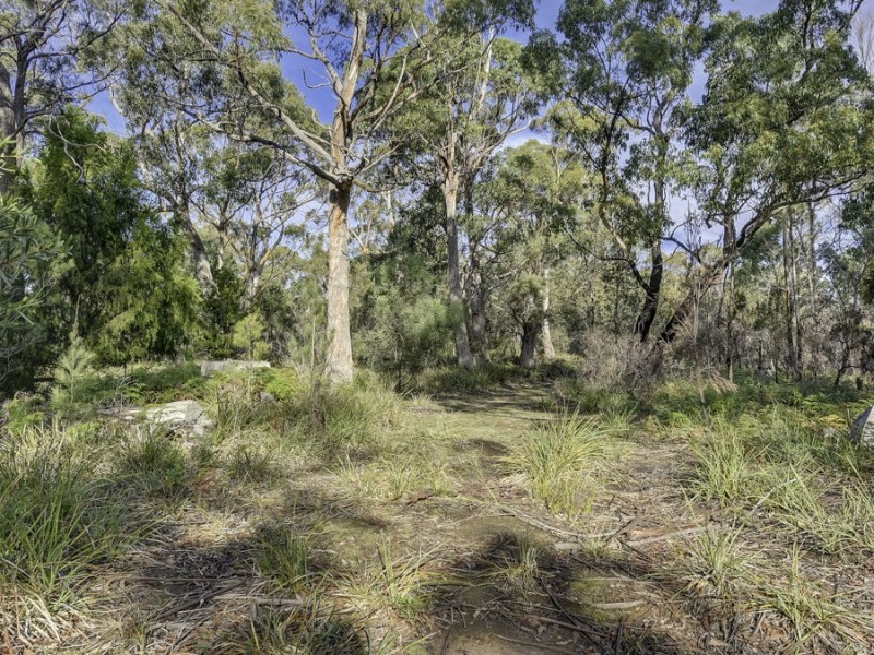 85 Skeggs Avenue, White Beach TAS 7184