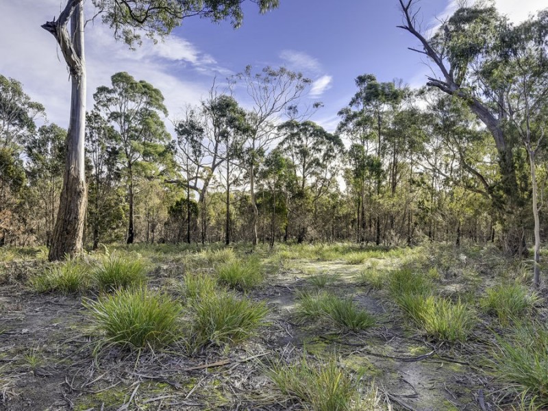 85 Skeggs Avenue, White Beach TAS 7184